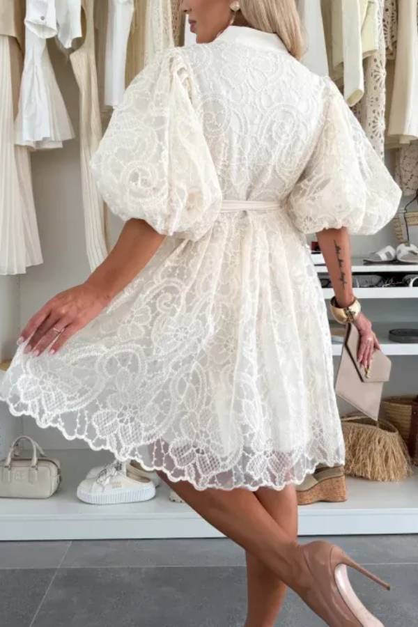 JO | Summer Romantic Embroidery Lace Puff Sleeves Button Tie Mini Dress