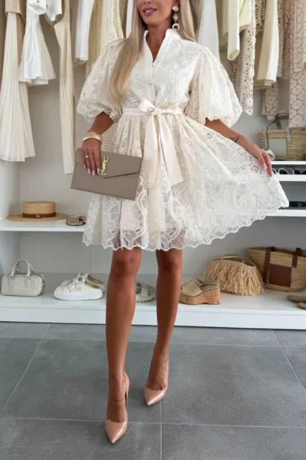 JO | Summer Romantic Embroidery Lace Puff Sleeves Button Tie Mini Dress