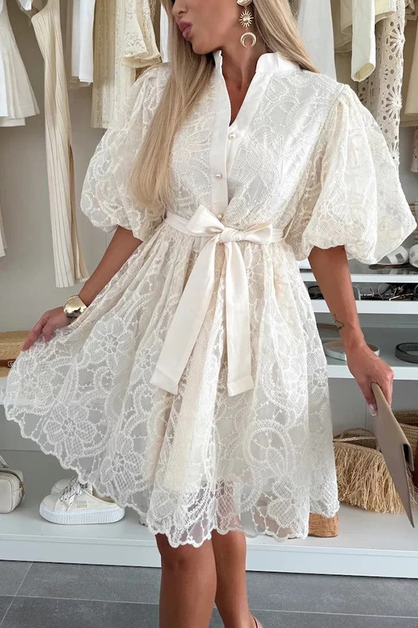 JO | Summer Romantic Embroidery Lace Puff Sleeves Button Tie Mini Dress