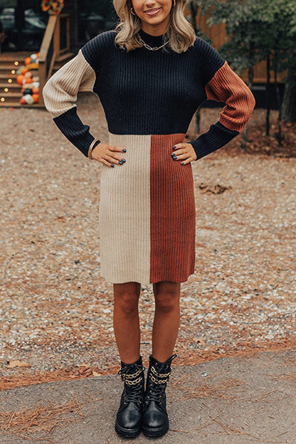JO | Winter Latte Knit Color Block Mock Neck Sweater Mini Dress