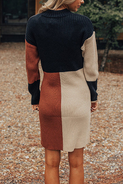 JO | Winter Latte Knit Color Block Mock Neck Sweater Mini Dress
